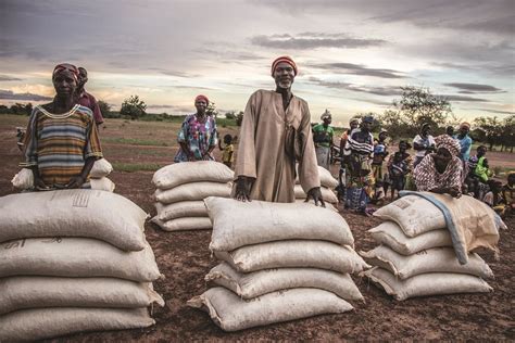 La Batalla de la Ayuda: Un Vistazo al Impacto de las Donaciones Humanitarias de Bola Tinubu en el Norte de Nigeria